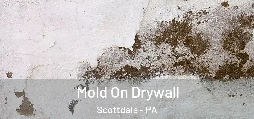 Mold On Drywall Scottdale - PA