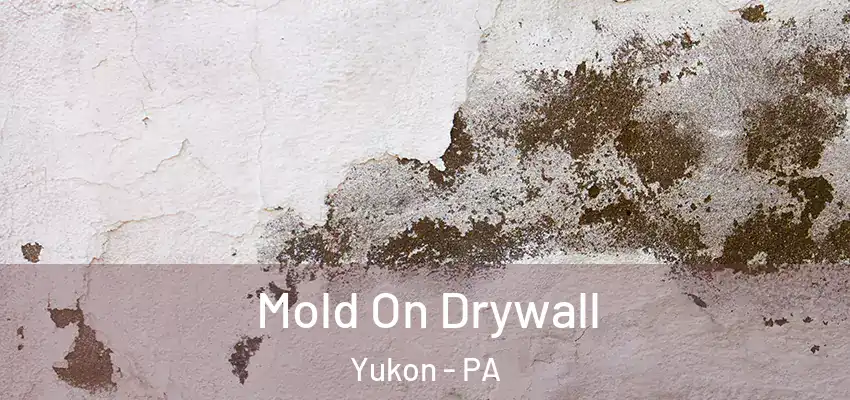  Mold On Drywall Yukon - PA