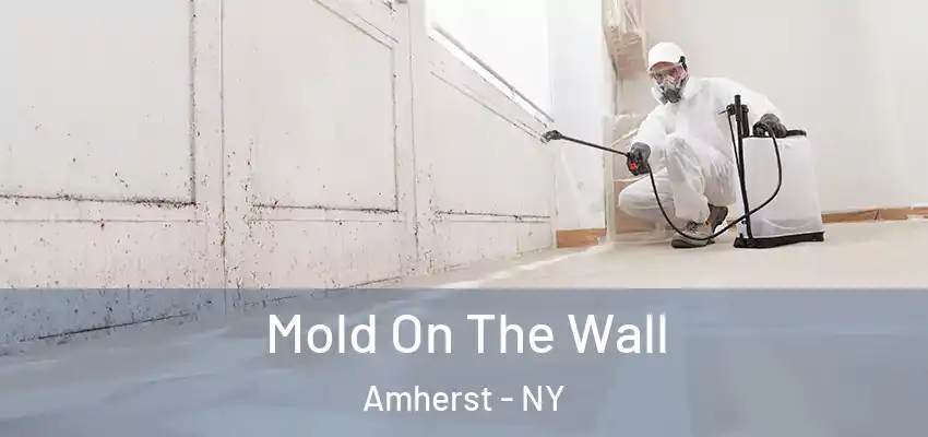  Mold On The Wall Amherst - NY