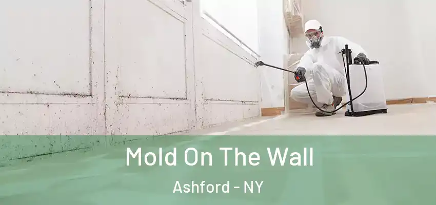  Mold On The Wall Ashford - NY
