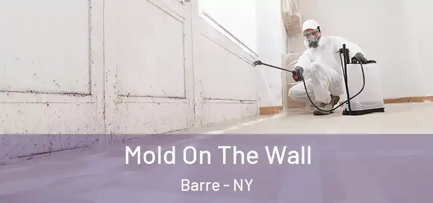Mold On The Wall Barre - NY