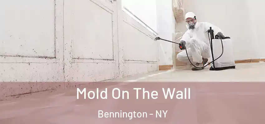  Mold On The Wall Bennington - NY