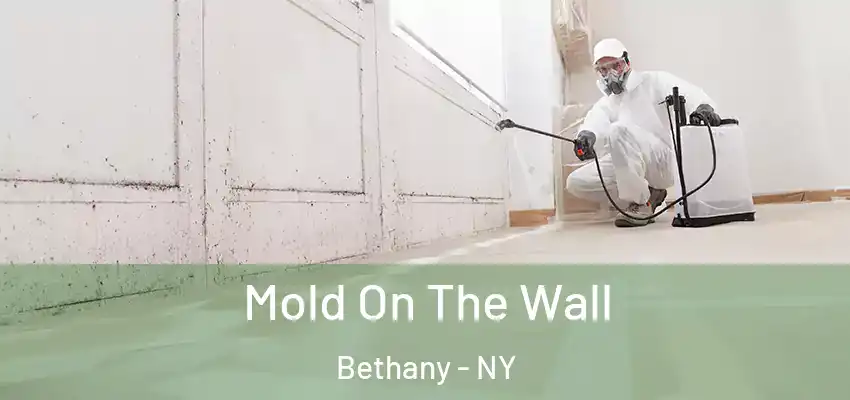 Mold On The Wall Bethany - NY