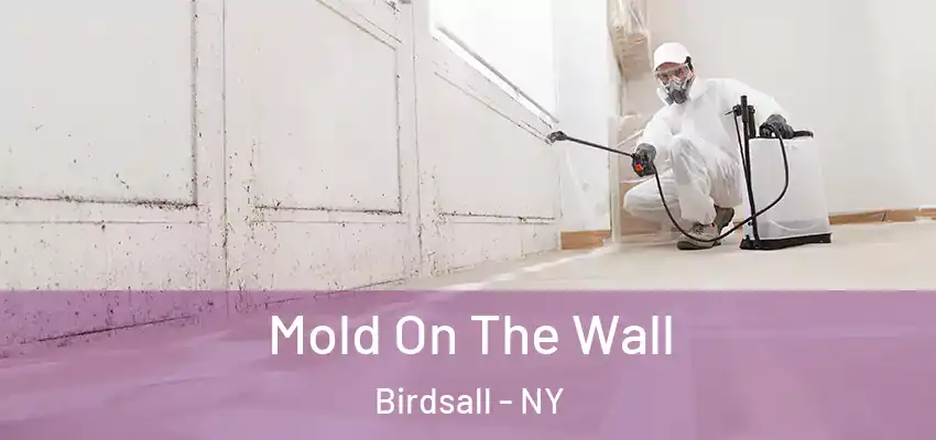  Mold On The Wall Birdsall - NY