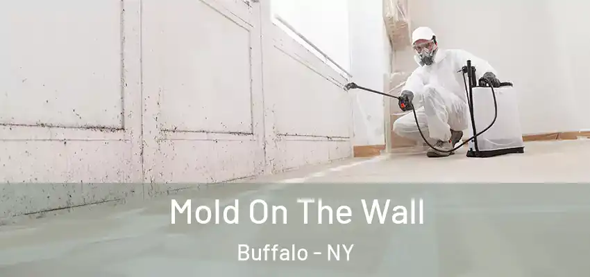 Mold On The Wall Buffalo - NY