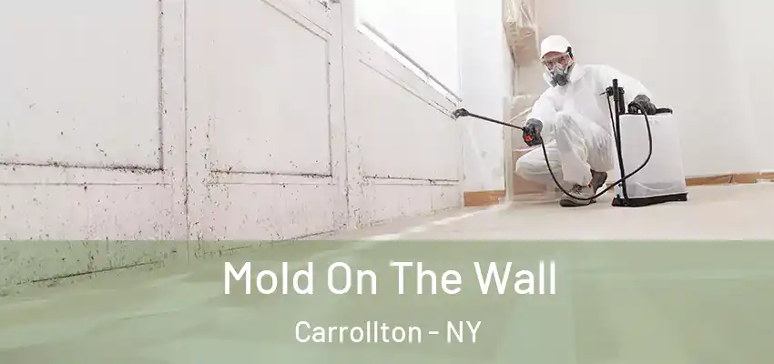  Mold On The Wall Carrollton - NY
