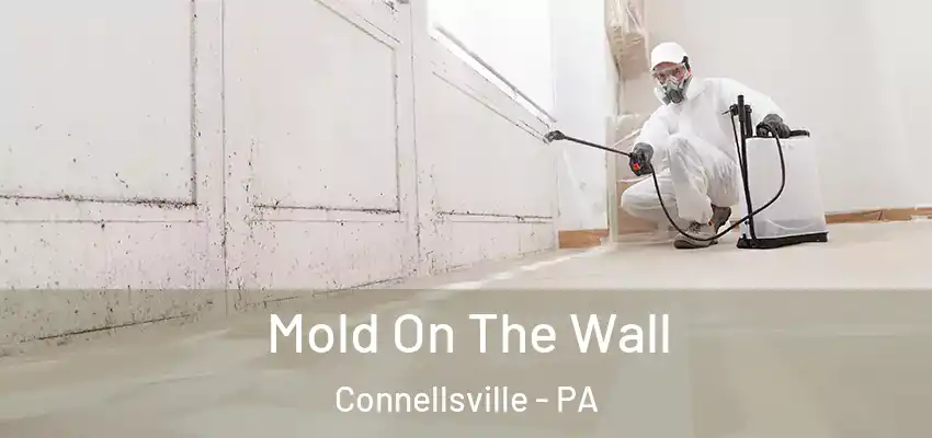  Mold On The Wall Connellsville - PA
