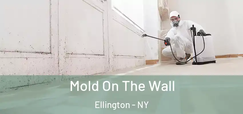  Mold On The Wall Ellington - NY