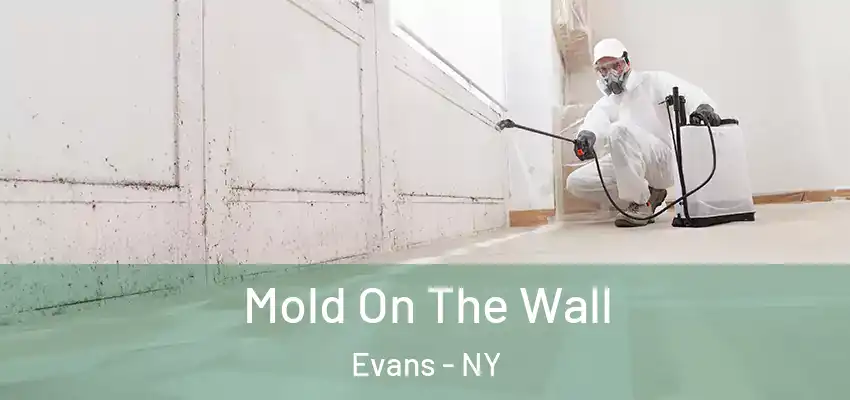  Mold On The Wall Evans - NY