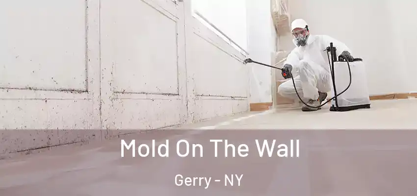  Mold On The Wall Gerry - NY