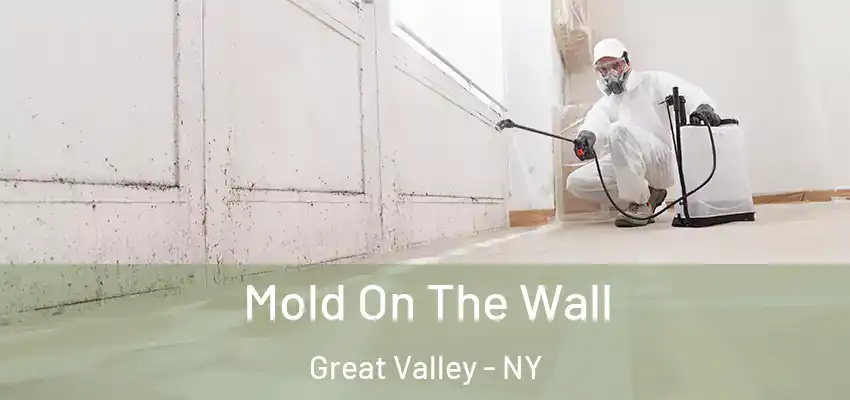  Mold On The Wall Great Valley - NY