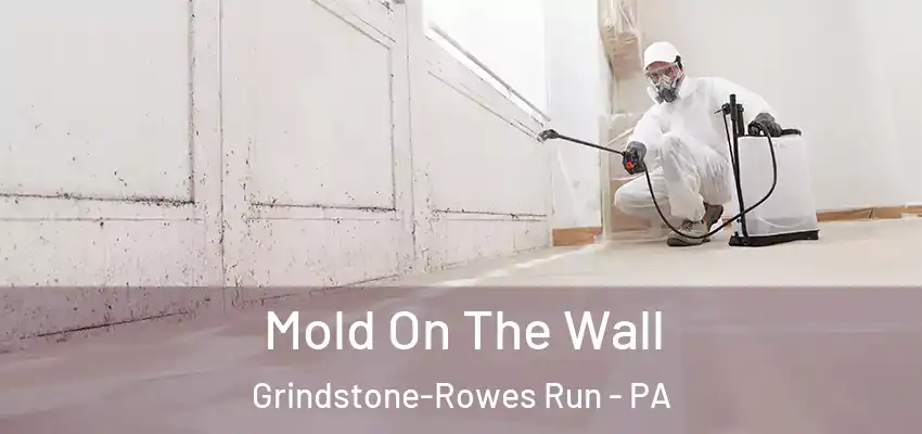  Mold On The Wall Grindstone-Rowes Run - PA