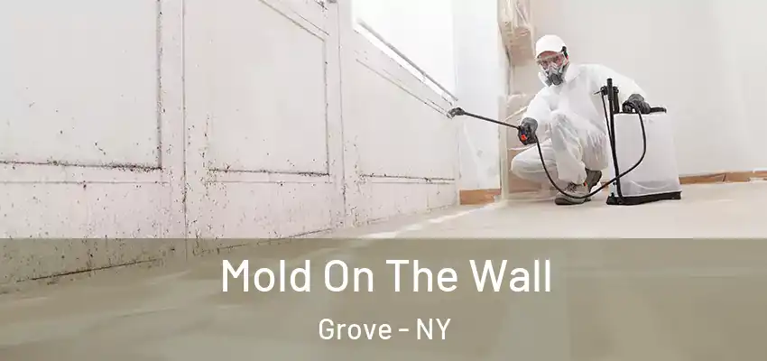  Mold On The Wall Grove - NY
