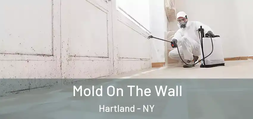  Mold On The Wall Hartland - NY