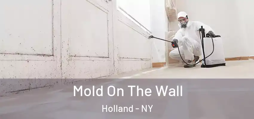  Mold On The Wall Holland - NY