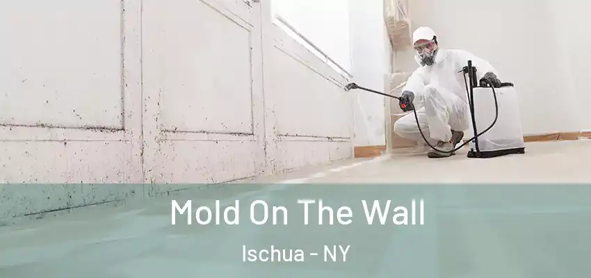  Mold On The Wall Ischua - NY