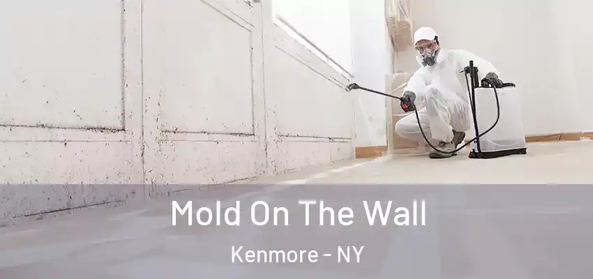  Mold On The Wall Kenmore - NY