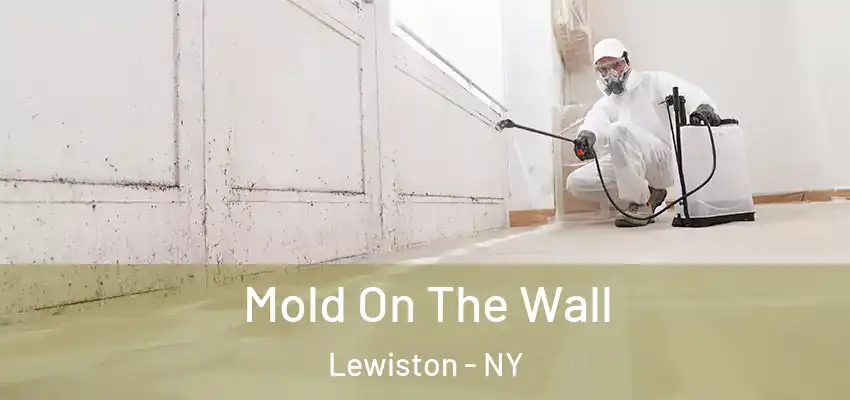  Mold On The Wall Lewiston - NY