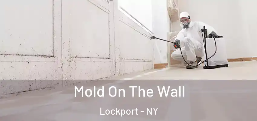  Mold On The Wall Lockport - NY