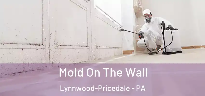 Mold On The Wall Lynnwood-Pricedale - PA