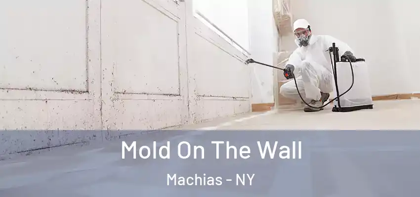  Mold On The Wall Machias - NY