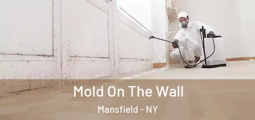  Mold On The Wall Mansfield - NY