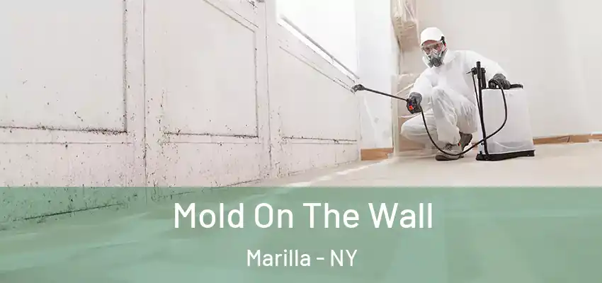  Mold On The Wall Marilla - NY