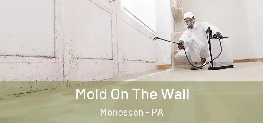  Mold On The Wall Monessen - PA