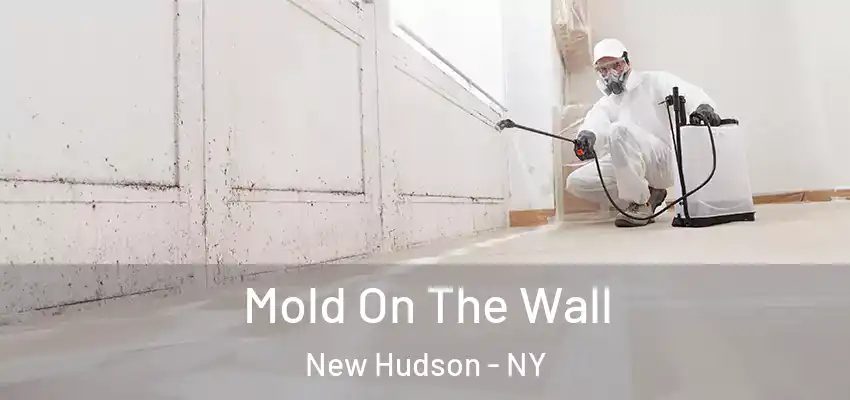  Mold On The Wall New Hudson - NY