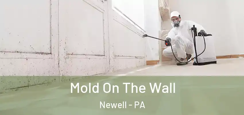  Mold On The Wall Newell - PA