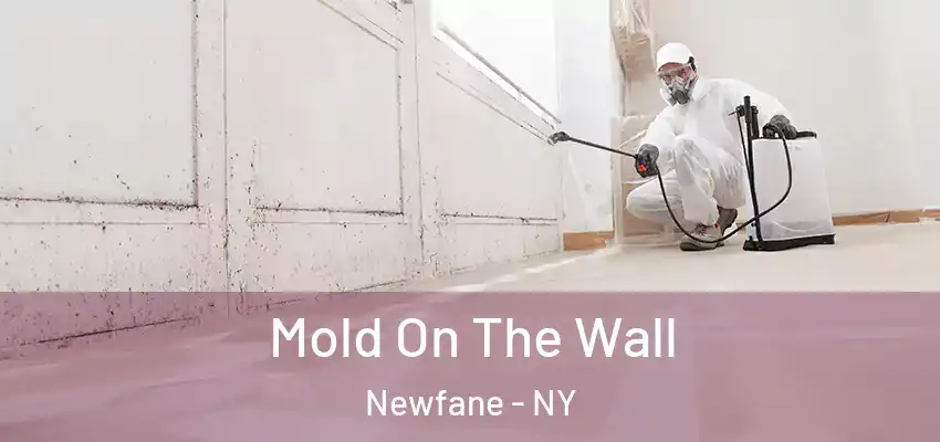  Mold On The Wall Newfane - NY
