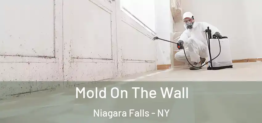  Mold On The Wall Niagara Falls - NY