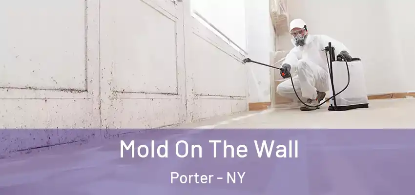 Mold On The Wall Porter - NY