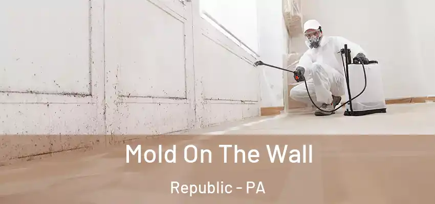  Mold On The Wall Republic - PA