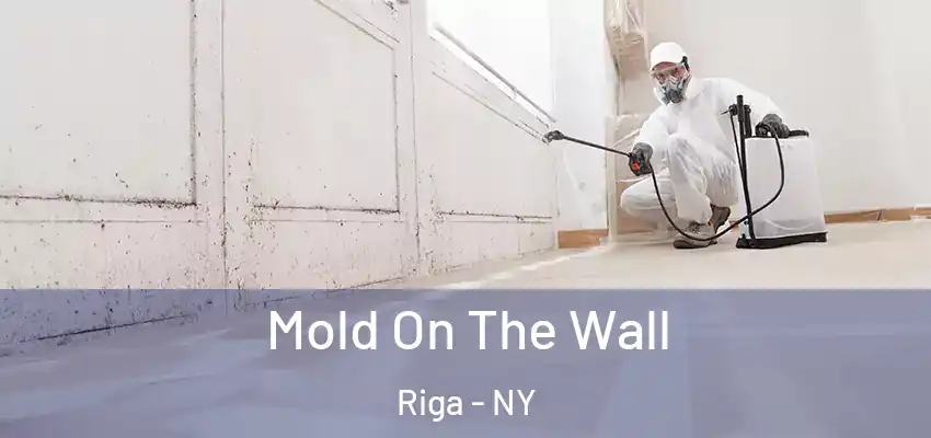  Mold On The Wall Riga - NY