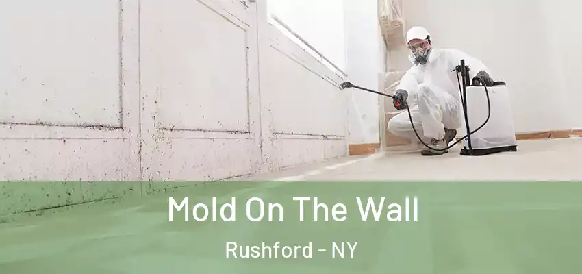  Mold On The Wall Rushford - NY