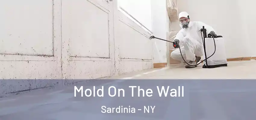  Mold On The Wall Sardinia - NY