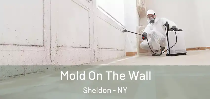  Mold On The Wall Sheldon - NY