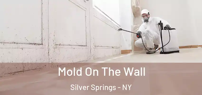  Mold On The Wall Silver Springs - NY