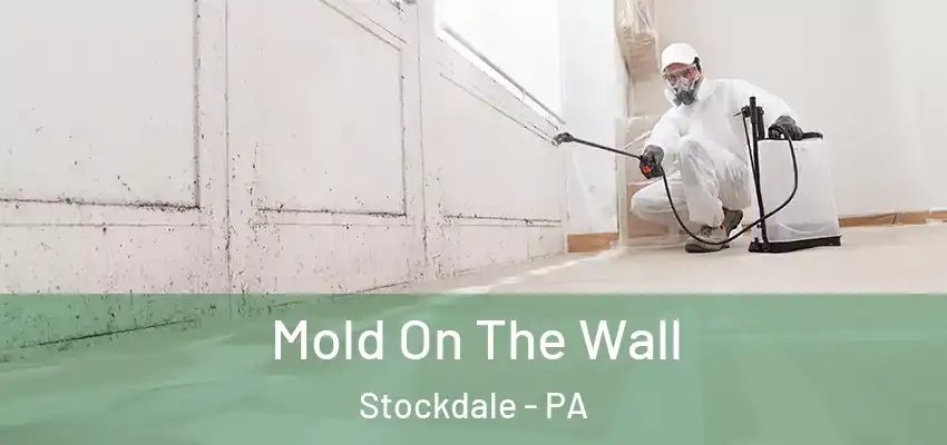  Mold On The Wall Stockdale - PA