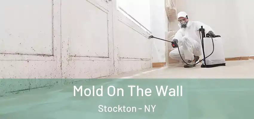  Mold On The Wall Stockton - NY