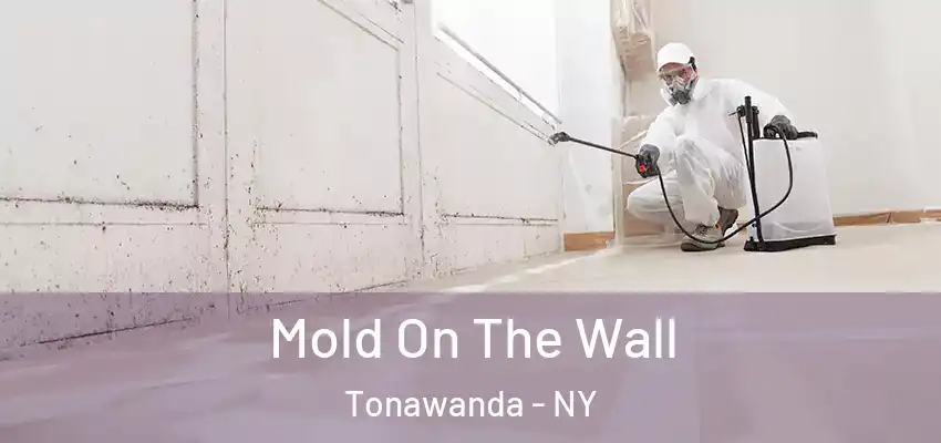  Mold On The Wall Tonawanda - NY