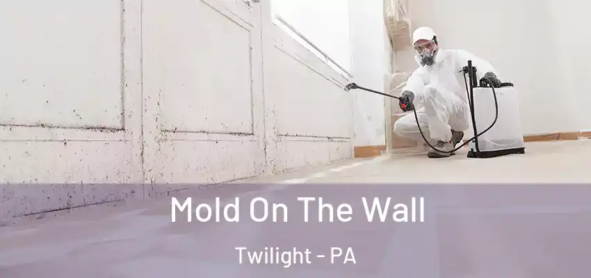  Mold On The Wall Twilight - PA