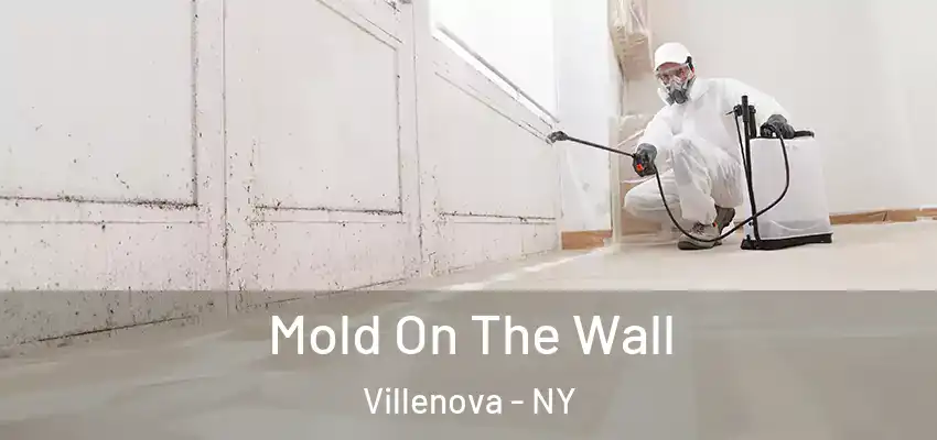  Mold On The Wall Villenova - NY