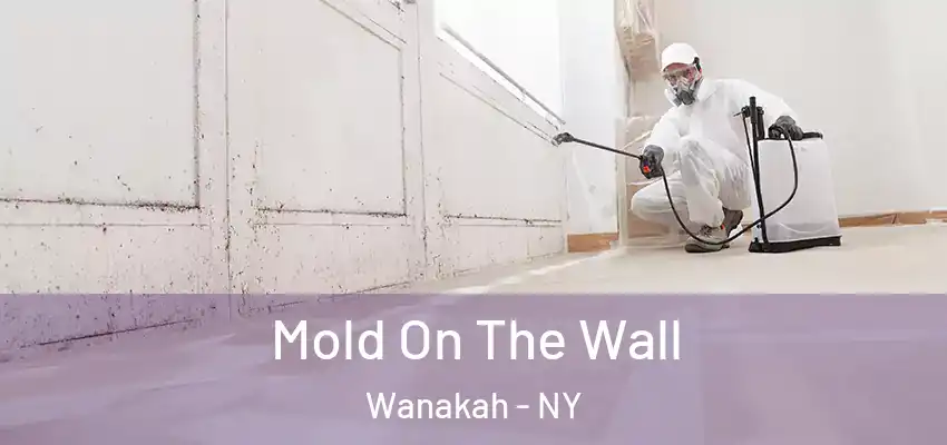 Mold On The Wall Wanakah - NY