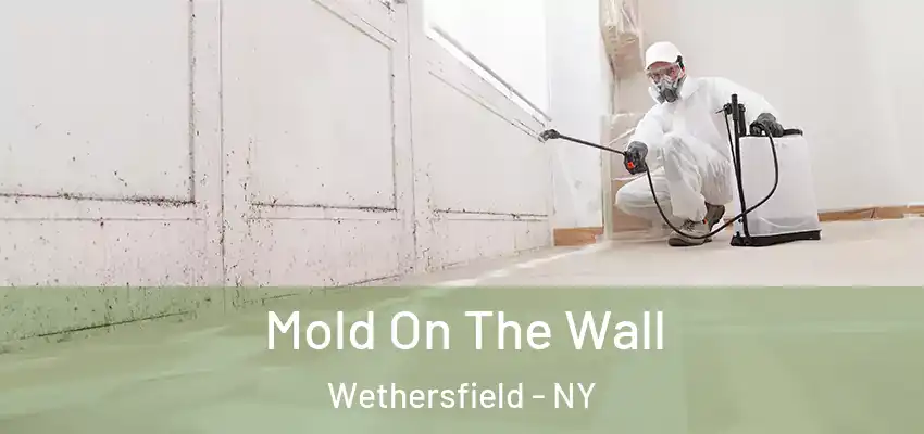  Mold On The Wall Wethersfield - NY
