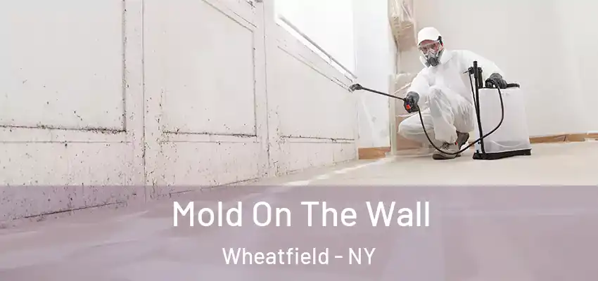  Mold On The Wall Wheatfield - NY