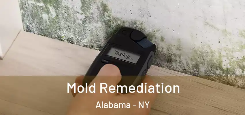  Mold Remediation Alabama - NY