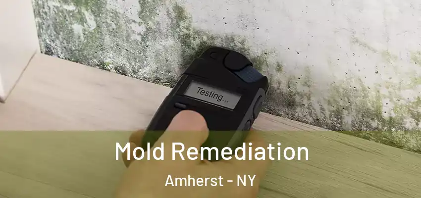  Mold Remediation Amherst - NY