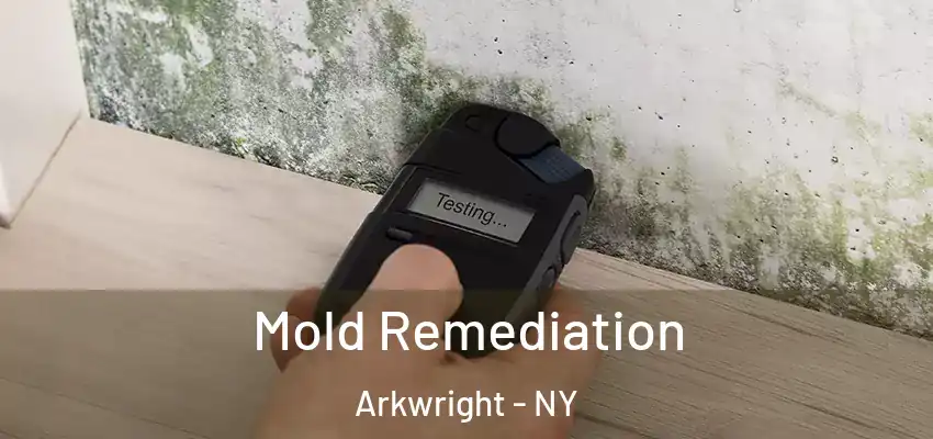  Mold Remediation Arkwright - NY